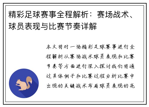 精彩足球赛事全程解析：赛场战术、球员表现与比赛节奏详解