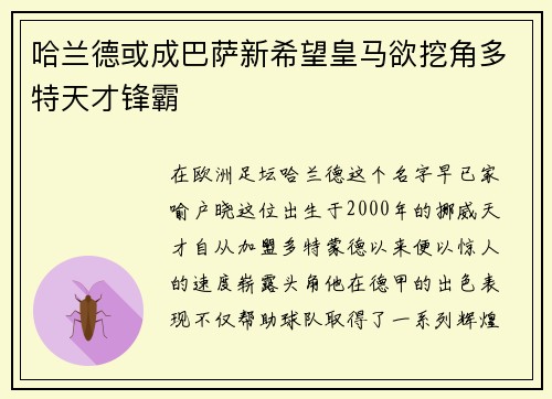 哈兰德或成巴萨新希望皇马欲挖角多特天才锋霸