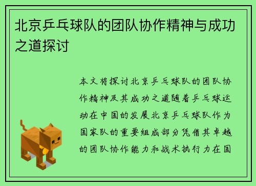 北京乒乓球队的团队协作精神与成功之道探讨